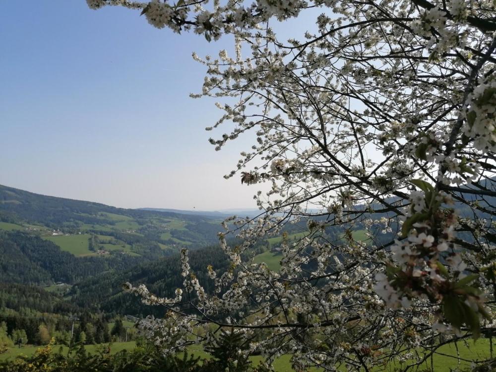 Příroda nedaleko penzionu – hostince