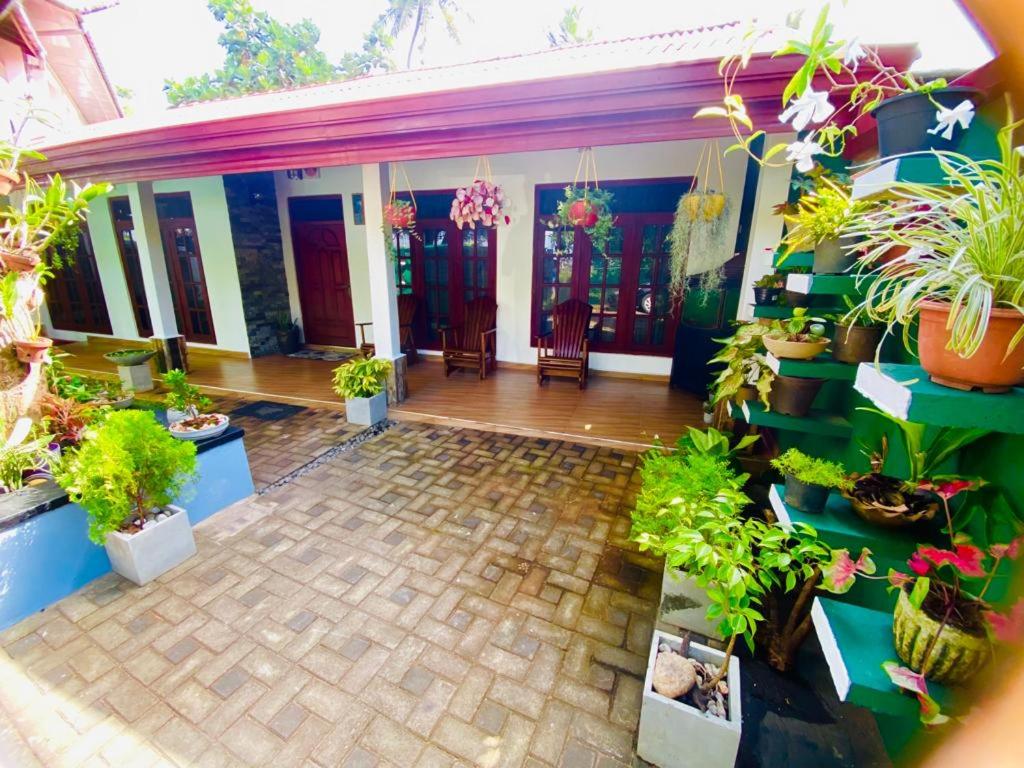 ANTONIO TRANSIT KATUNAYAKE - 9