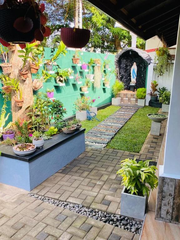 ANTONIO TRANSIT KATUNAYAKE - 13