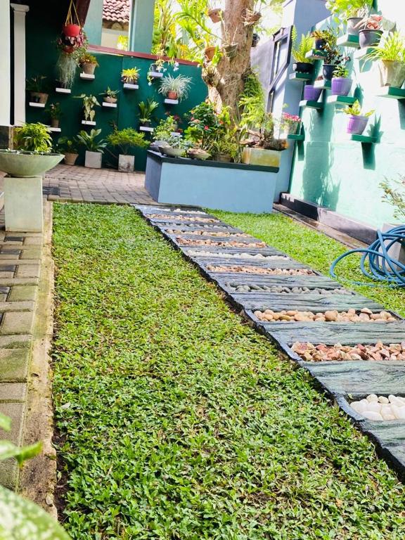 ANTONIO TRANSIT KATUNAYAKE - 14