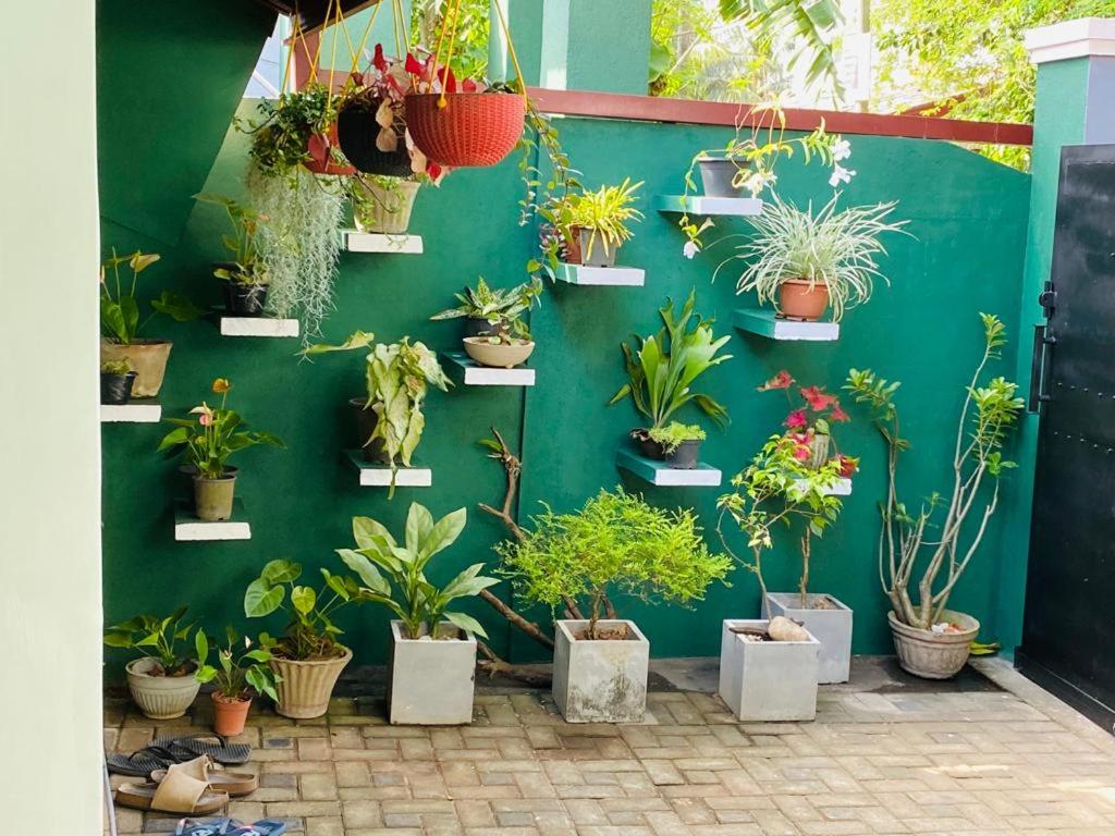 ANTONIO TRANSIT KATUNAYAKE - 12