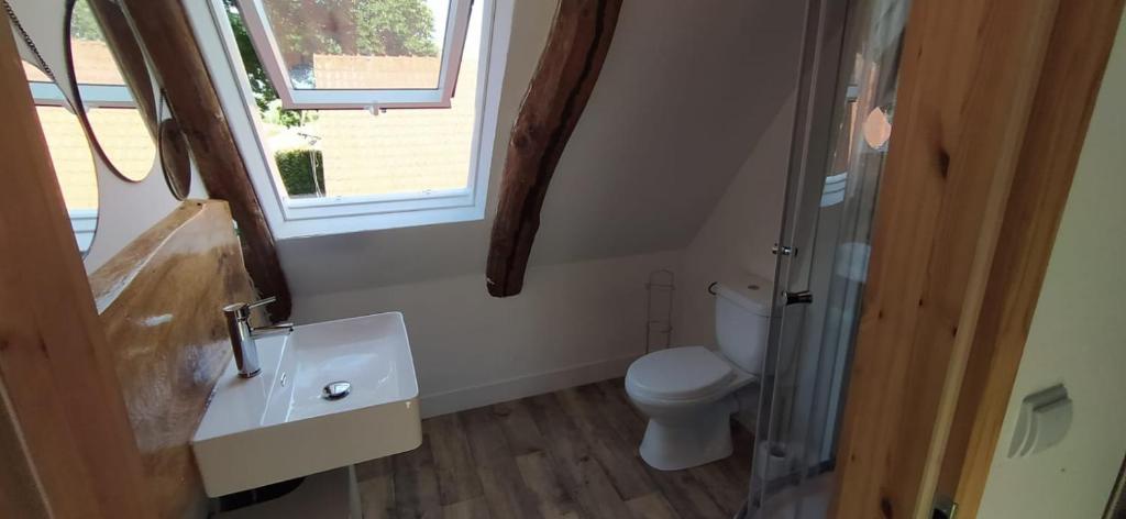 een badkamer met een toilet, een wastafel en een raam bij FairSchlafen-Dachstudio in Bücken