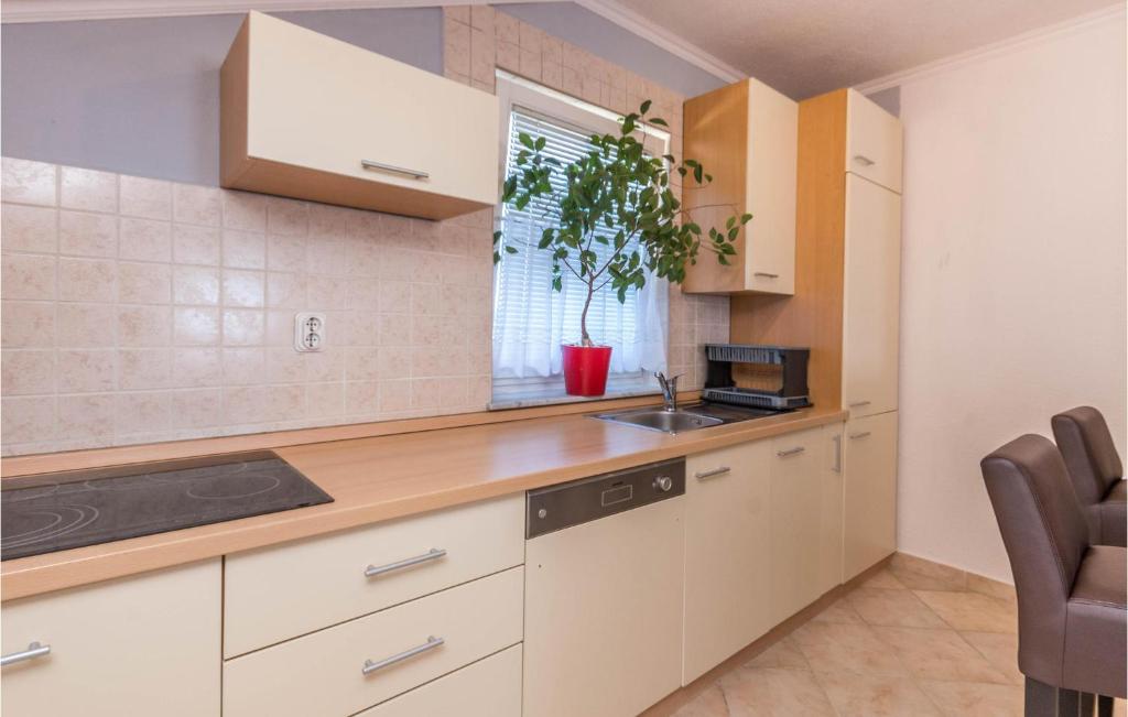 a kitchen with white cabinets and a potted plant at 4 Bedroom Amazing Home In Miranje in Miranje