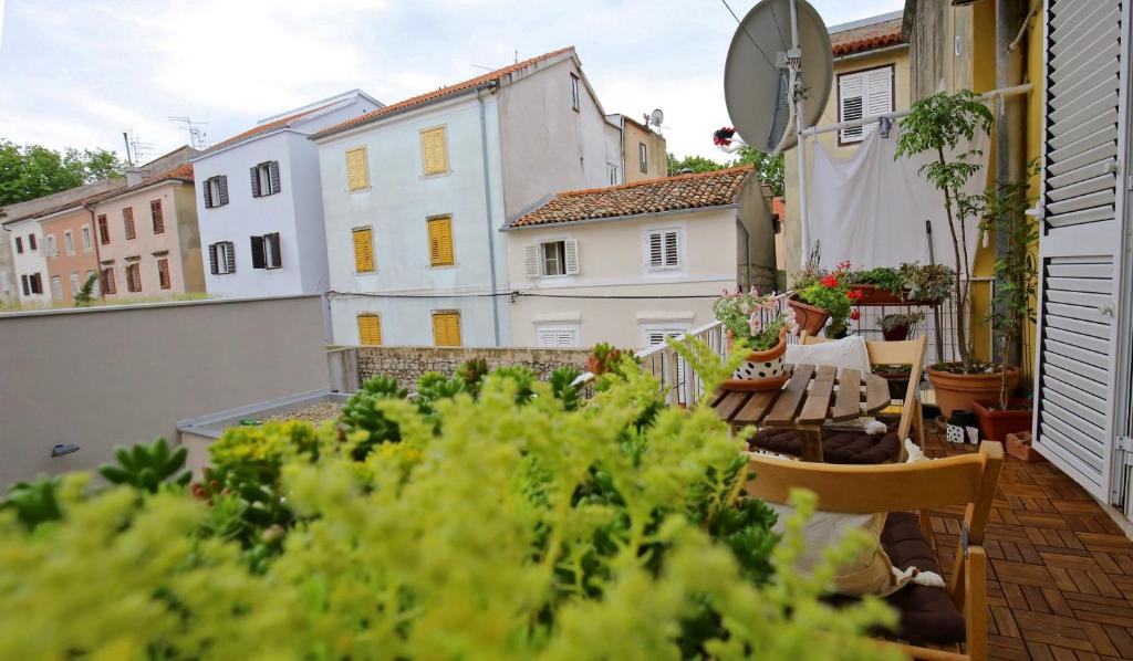 Verena's Place Old Town - 7