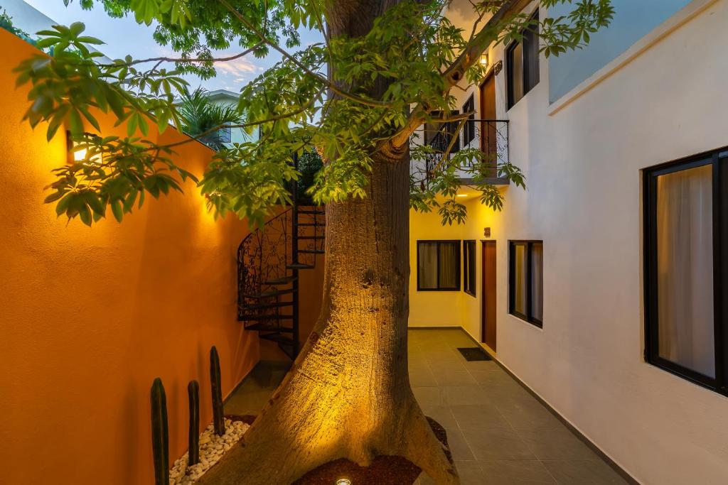 un gran árbol en el pasillo de un edificio en Casa Madero Hotel en La Paz