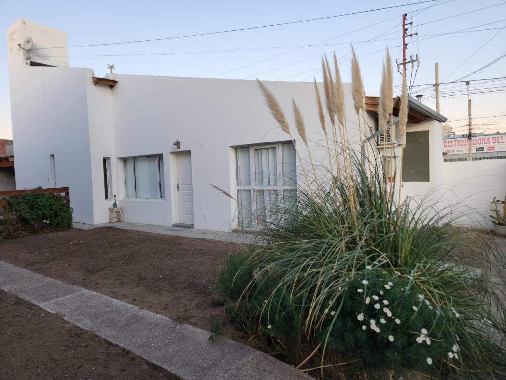 ein weißes Haus mit Pflanzen davor in der Unterkunft La alegre! Hermosa casa centrica y cerca del mar in Puerto Madryn