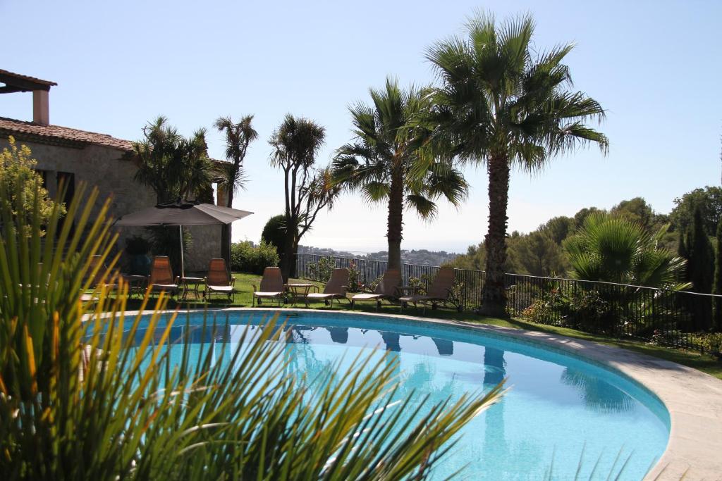 - une piscine bordée de chaises et de palmiers dans l'établissement Le Haut des Espinets, à Saint-Paul-de-Vence