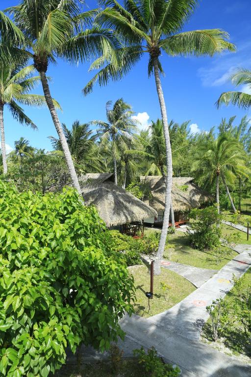 Raira Lagon, Avatoru - photo 3 - Rangiroa, Polynésie