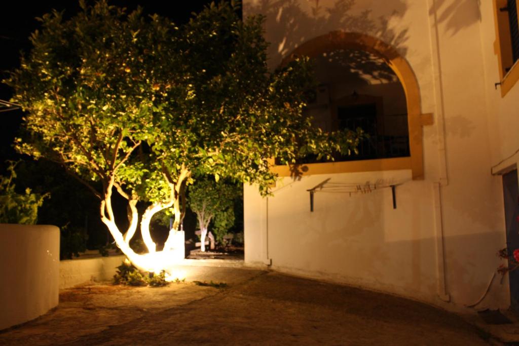 an entrance to a building with a tree at night at Theofilos Appartements in Livadi