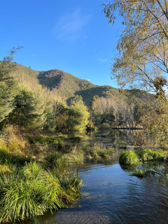 un río en un campo con colinas en el fondo en Casa Toscana junto al río, en El Bolsico