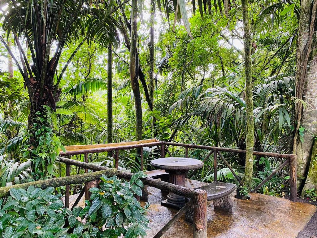 Zahrada ubytování Wellness Park CR