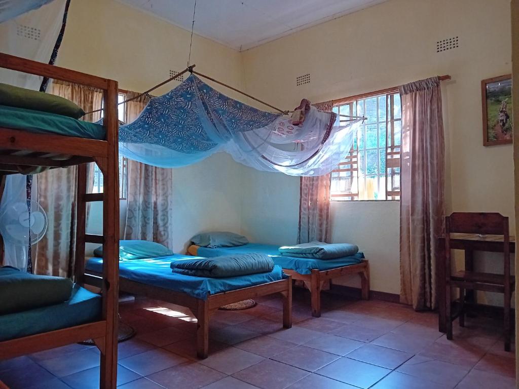Blend Lodge and Kitchen - Pakachere - Single Bed In 4-Bed Dormitory Room