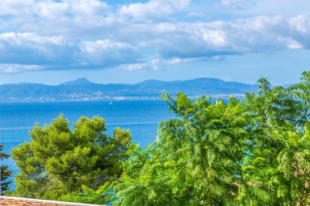 a view of the ocean with trees and mountains at Palma bay views 20m from the sea in Bellavista