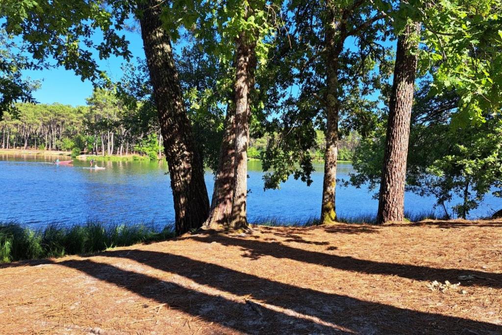 a group of trees in front of a lake at Les Glycines in Saint-Pierre-de-Buzet