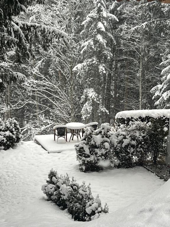 Haus Colorado am Gaisberg - 14