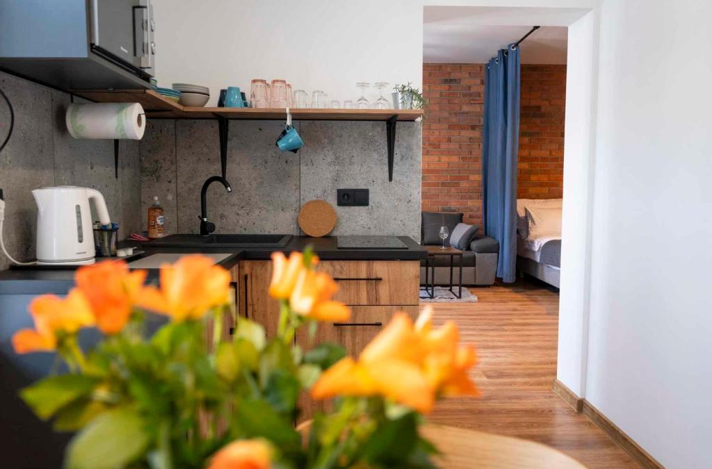 Aparthotel Krzywa - Deluxe Studio