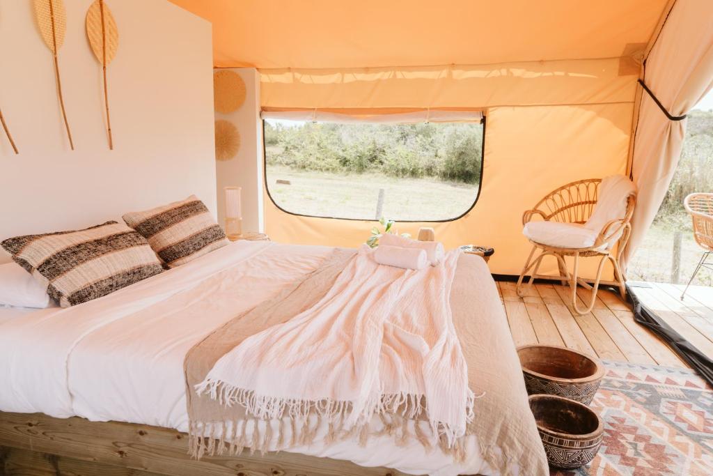 Dreamsea Surf Guest House - 6