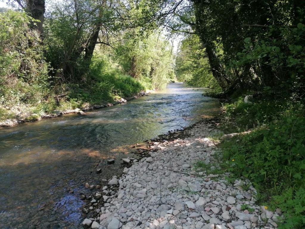 Příroda nedaleko apartmánu