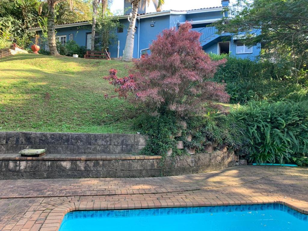 a house with a swimming pool in front of a yard at Maisha@Toti in Amanzimtoti
