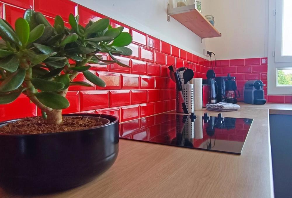 a potted plant sitting on a counter in a kitchen at Appart 3 Chambres - 6 personnes - Mémorial - Université in Caen
