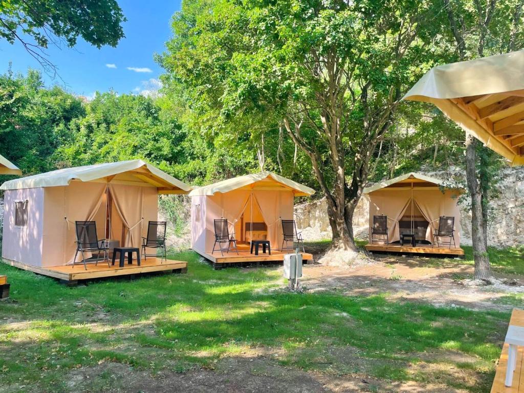 grupa namiotów na polu z drzewami w obiekcie Divoto Glamping w Bałcziku