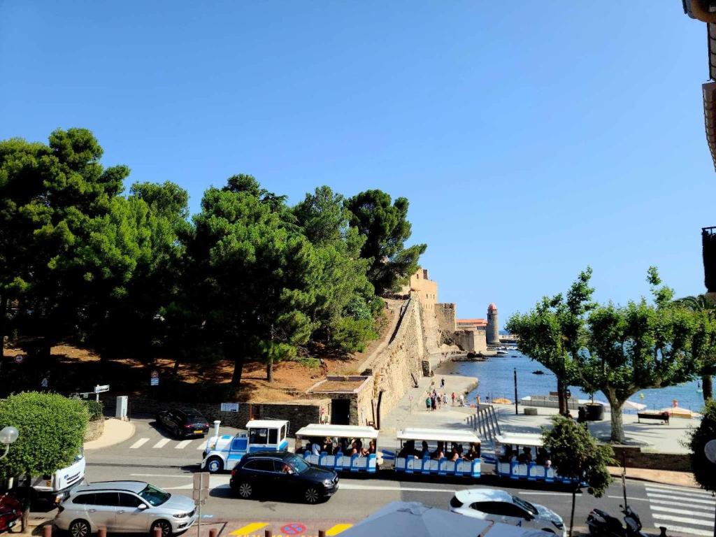 een groep auto's geparkeerd op een parkeerplaats naast het water bij Charmante maison de village Collioure in Collioure