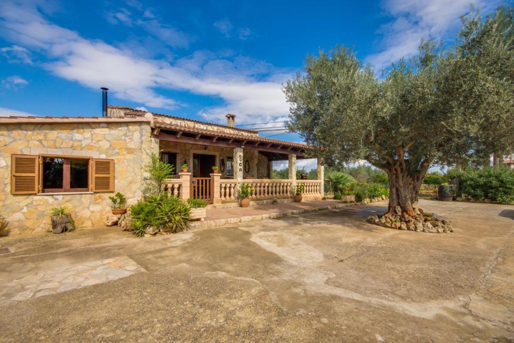 Vonkajšia záhrada v ubytovaní Ideal Property Mallorca - Puri