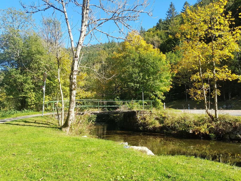 Příroda nedaleko apartmánu