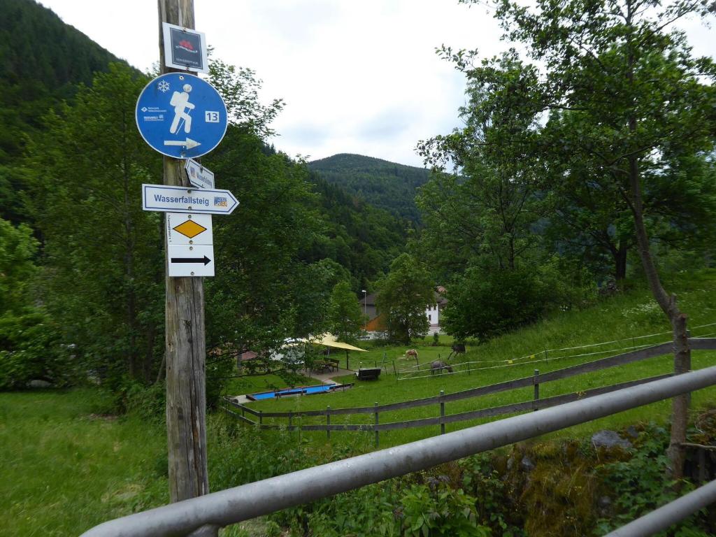 Příroda nedaleko apartmánu