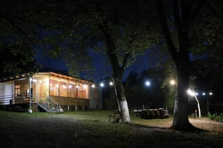 una casa de noche con dos árboles y luces en Gigi, en Khvanchkara
