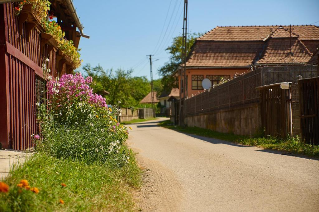 Zahrada ubytování Carla House