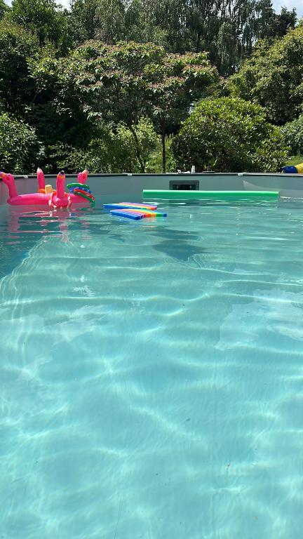 uma piscina de água azul com em Le Cottage em Lasne