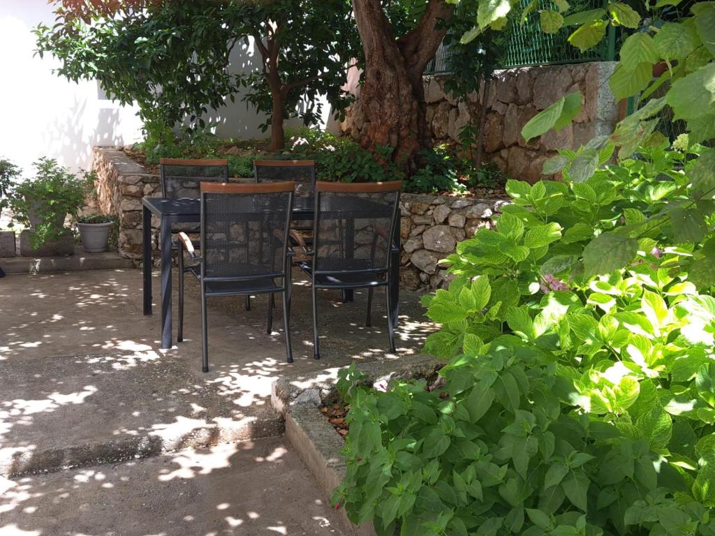 Zahrada ubytování Apartment Robo