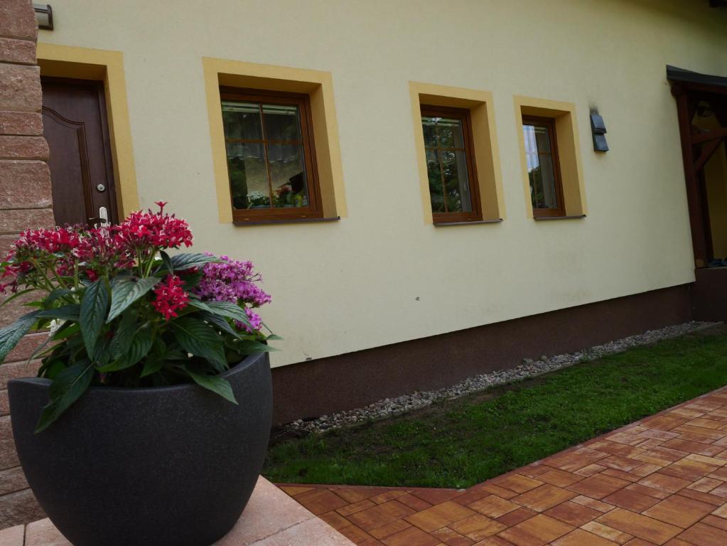 Zahrada ubytování Apartmán Danuše