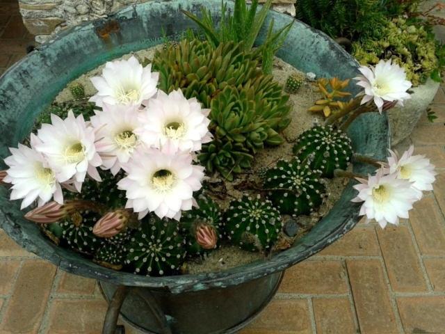 Fotografie z fotogalerie ubytování Agriturismo La Casa Di Botro v destinaci Botricello