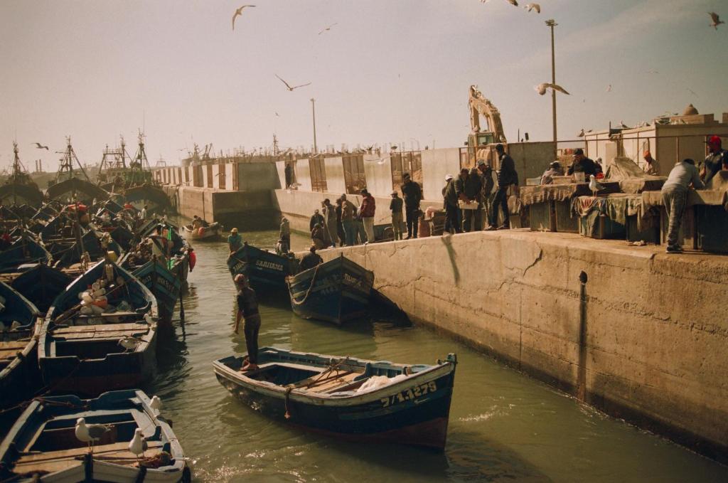 Les Terrasses d'Essaouira في الصويرة: مجموعة من الناس تقف على جسر مع قوارب في الماء
