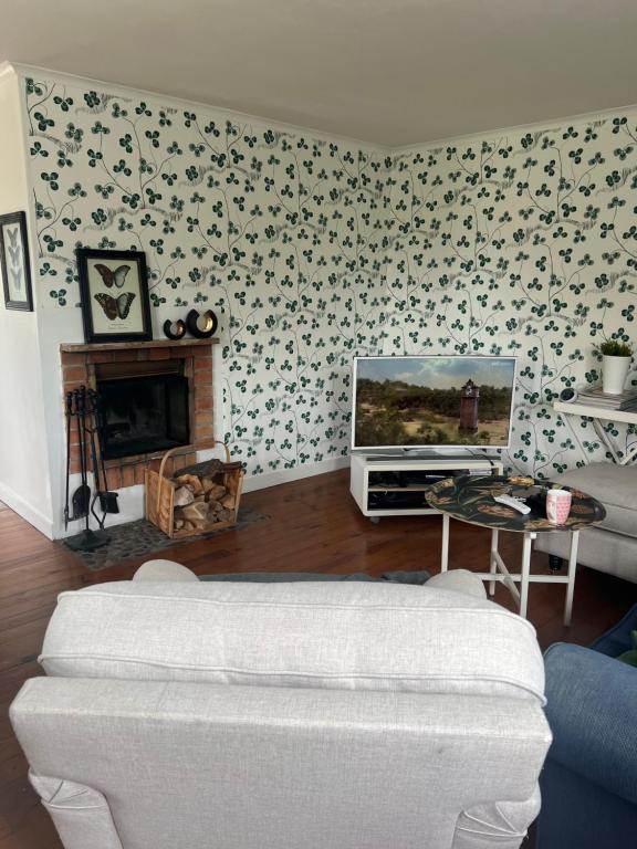 Gotland East Coast في Huse: غرفة معيشة مع أريكة وتلفزيون