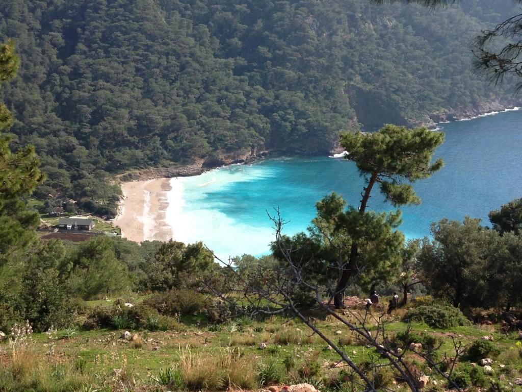 Fotografie z fotogalerie ubytování Kabak Armes Hotel v destinaci Faralya