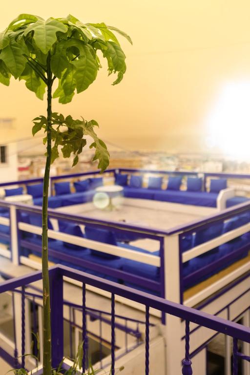 a plant in a table and chairs in a classroom at The Rina Hostel in Agadir