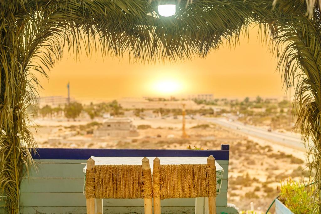a bench sitting under a palm tree with a view of the desert at The Rina Hostel in Agadir