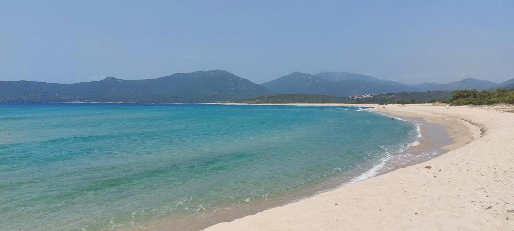 une plage avec de l'eau bleue et des montagnes en arrière-plan dans l'établissement Mini Villa - Vue mer, à Serra-di-Ferro