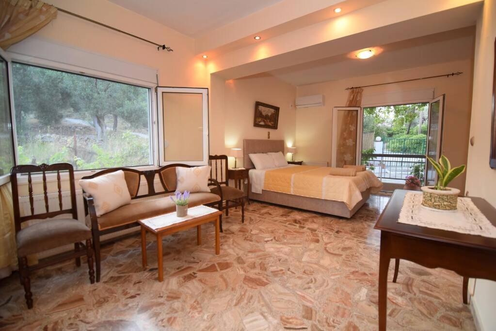 1 dormitorio con 1 cama y sala de estar en Villa Eirini Agia Varvara Lesvos en Plomarion