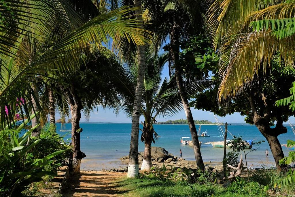 a beach with palm trees and the ocean at Villa Ilo Komba in Nosy Komba