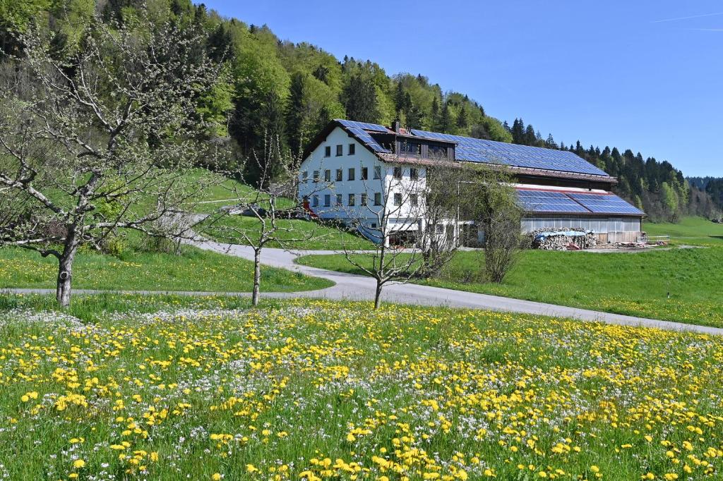 un antiguo granero en un campo de flores en AuszeitHof Vögel, en Sulzberg