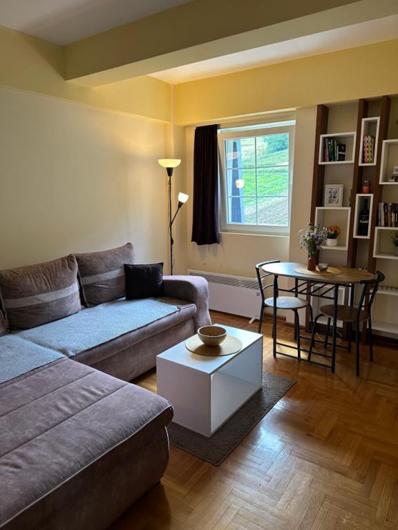 a living room with a couch and a table at Suncani apartman 36, Brzece in Brzeće