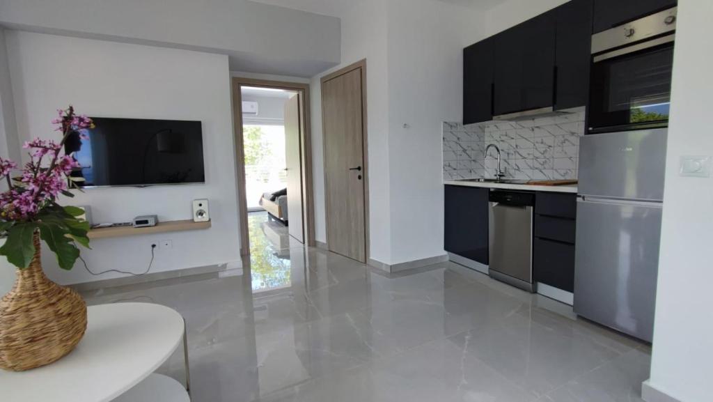 Kuchyň nebo kuchyňský kout v ubytování Anesi Suites & Rooms