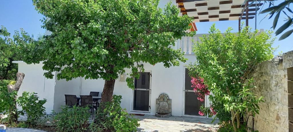 een wit huis met een boom ervoor bij Villa Beloussi Zakynthos in Kypseli
