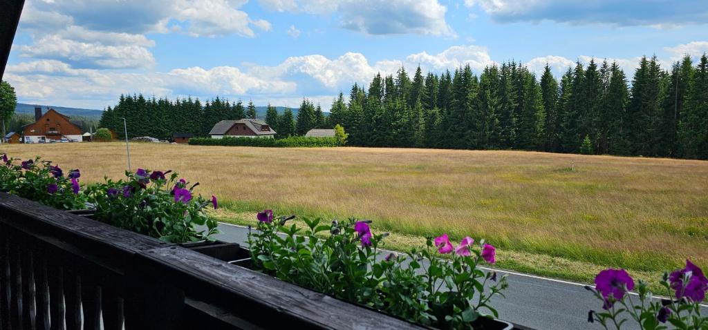 Horská Kvilda - Ubytování U Chvalů - 15