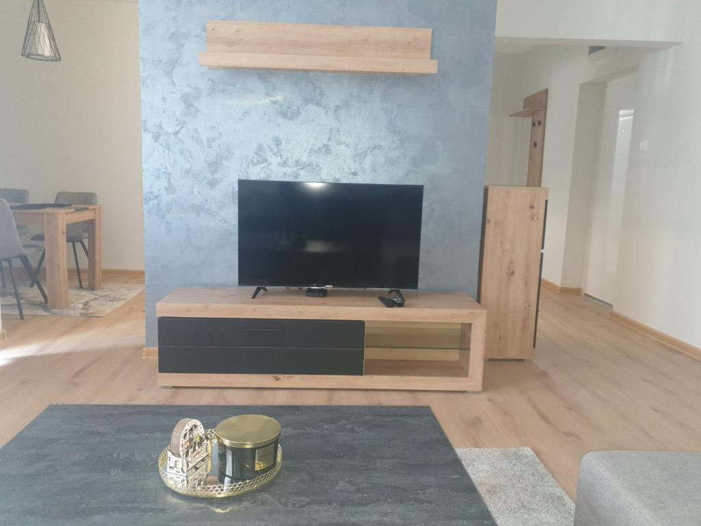 TV a/nebo společenská místnost v ubytování SANI