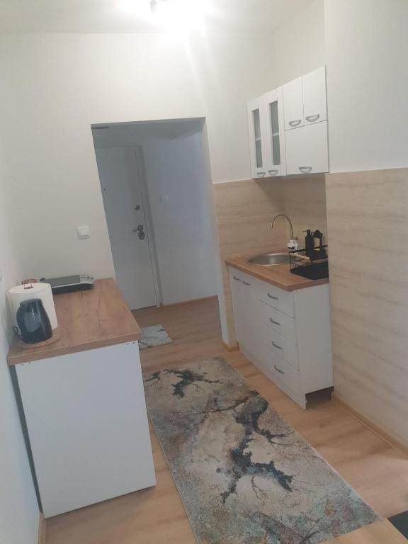 Kuchyň nebo kuchyňský kout v ubytování SANI